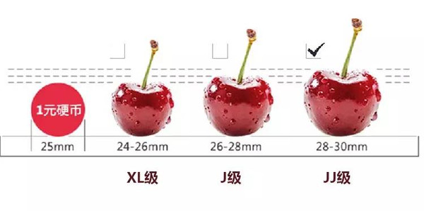 bet356体育在线官方网站