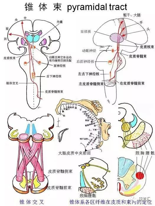 bet356体育在线亚洲最新最